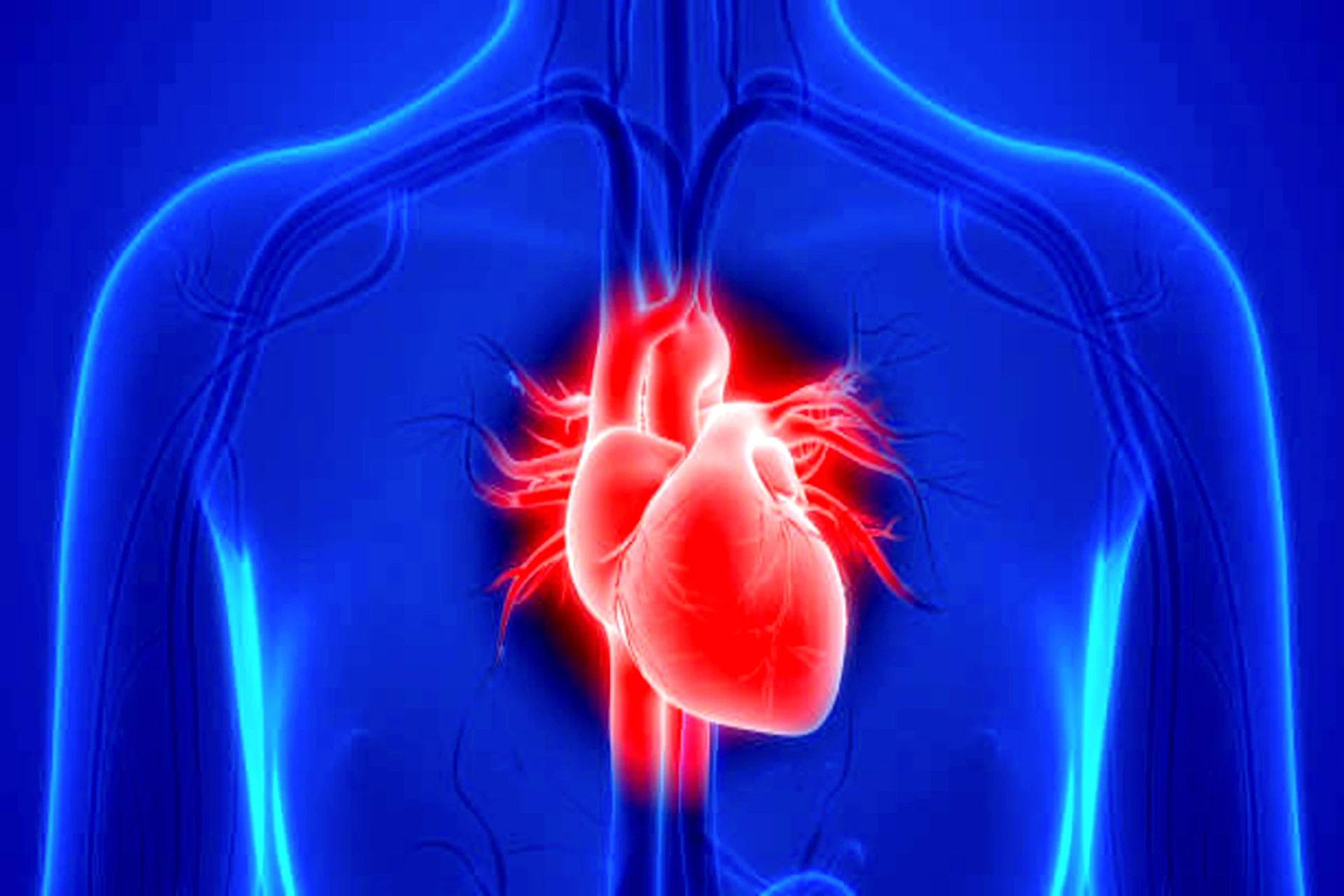Heart Health and Natural Remedy for Longevity
